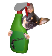 pest control 2