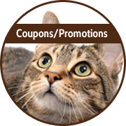 btn-coupons-promo.png Specials