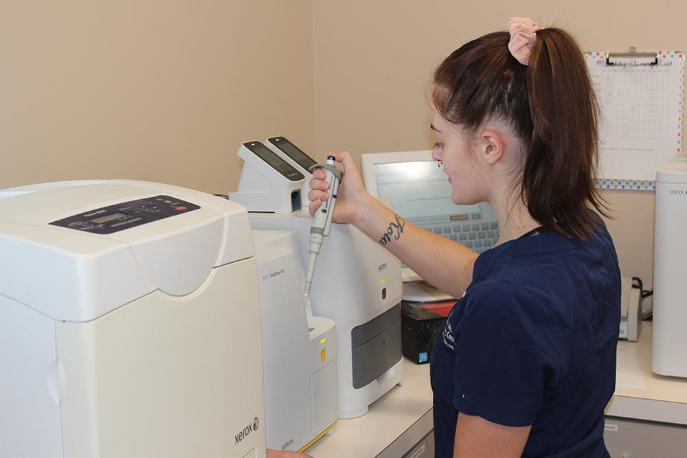 Pet Diagnostics being analyzed