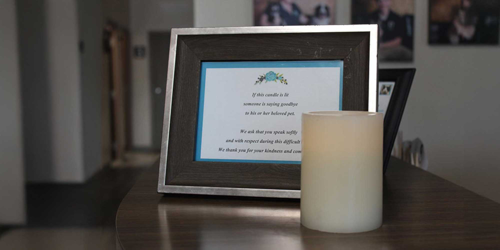 Pet End-of-Life Care & Support Pet End-of-Life Care & Support