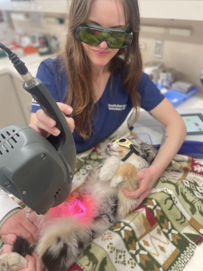 Laser Therapy Laser Therapy
