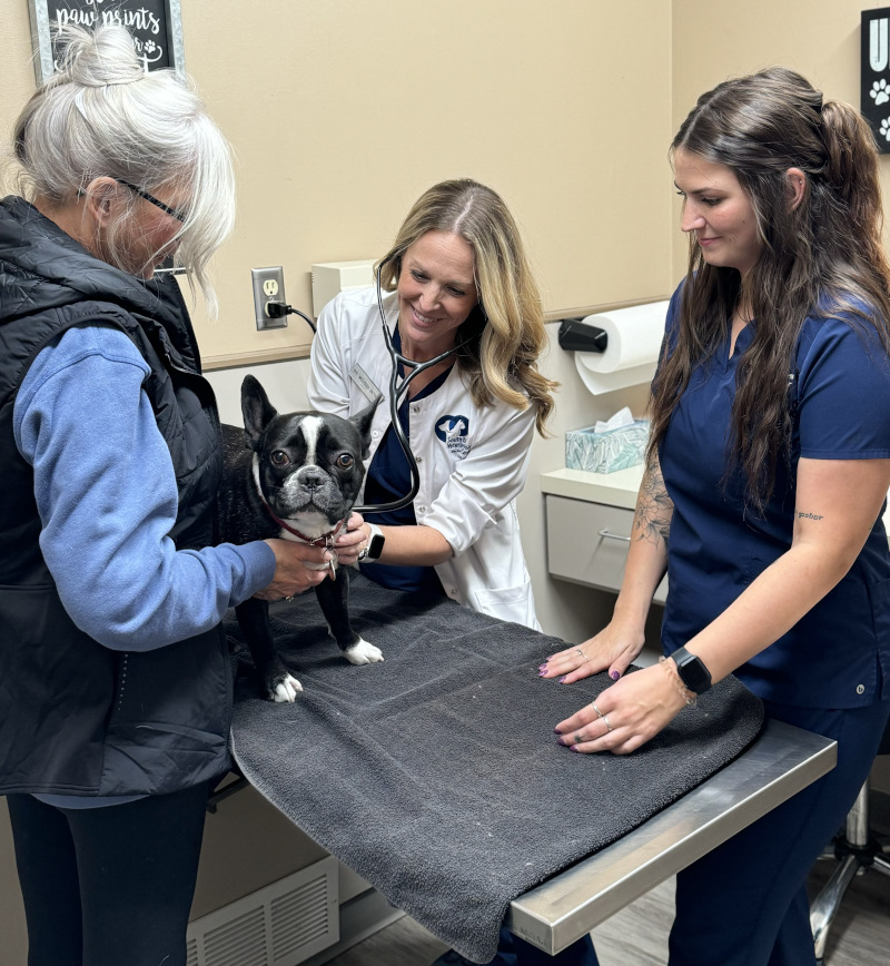 New Clients at South Des Moines Veterinary Center New Clients at South Des Moines Veterinary Center