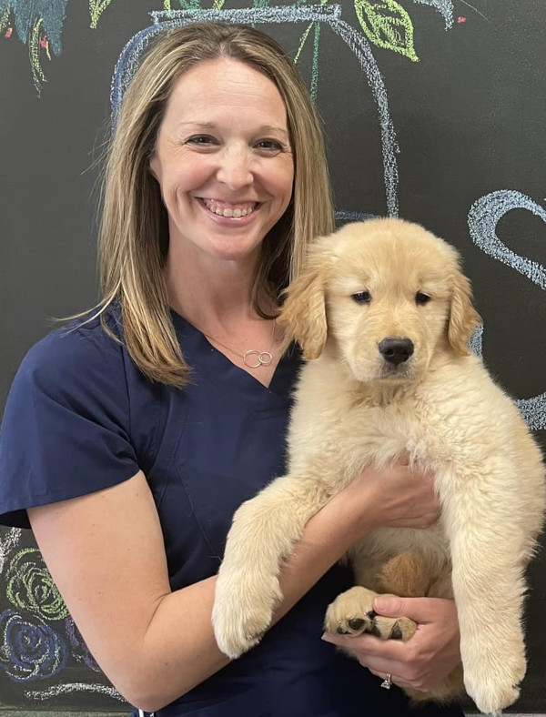 Vet with dog Vet with dog